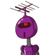 guest